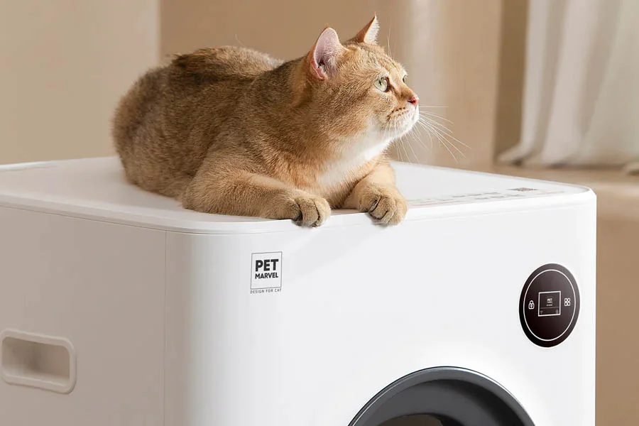 best no smell cat litter box
